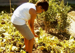 Attività educative - Fides Servizi