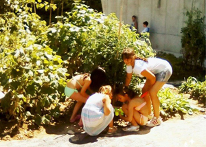 Attività educative - Fides Servizi